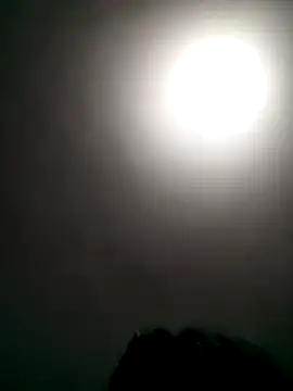 Snapshot of vanNe78 chatting on March 10, 2026, 4:00 pm vanNe78 online show from March 10, 2026, 4:00 pm