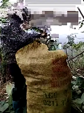 galaxy898 online show from January 6, 2026, 7:34 am