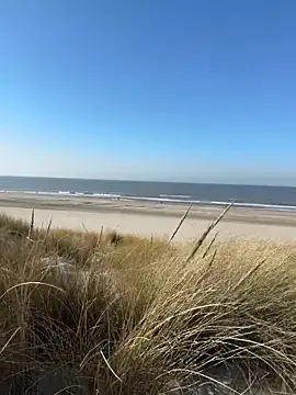 friemeldepiemel online show from March 5, 2026, 1:19 pm