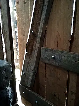 congchua977 online show from March 8, 2026, 2:04 am