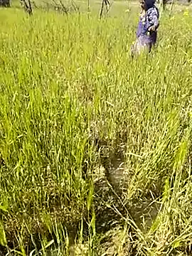 hornycouple20000 online show from January 14, 2026, 7:34 am