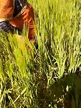 hornycouple20000 online show from January 15, 2026, 7:12 am