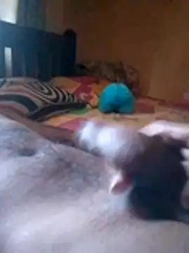 Snapshot of DILKI-CAM chatting on July 6, 2026, 5:25 am DILKI-CAM online show from July 6, 2026, 5:25 am