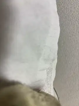 maonyan6 online show from February 13, 2026, 9:31 am