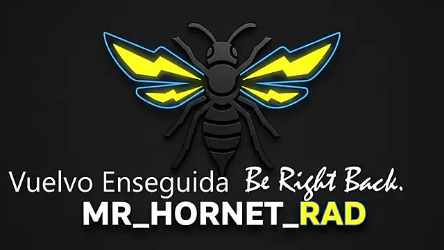 s hornet online show from May 4, 2026, 1:14 pm