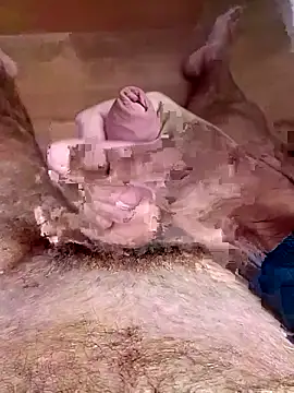 jellwet online show from February 13, 2026, 10:59 am