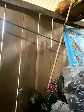 siorin 24 online show from January 10, 2026, 7:47 am