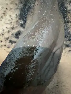 BlackCurvedDick online show from March 23, 2026, 12:44 am