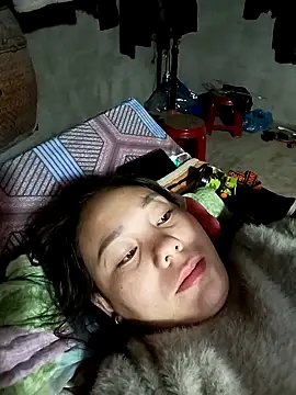 vanvan005 online show from February 3, 2026, 11:21 pm