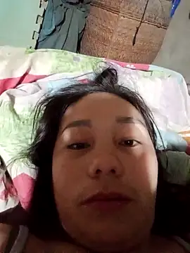 vanvan005 online show from January 6, 2026, 11:31 pm