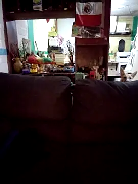 carlatransyjessi online show from February 20, 2026, 11:45 am