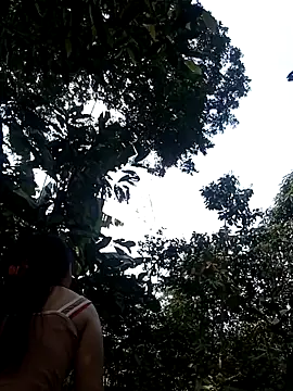 him220 online show from March 2, 2026, 6:58 am