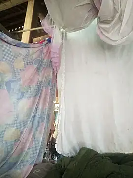 Piu 18 online show from February 21, 2026, 7:32 am