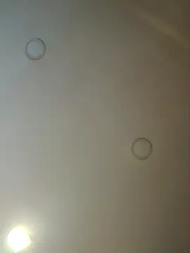 dear2002 online show from January 17, 2026, 6:17 am