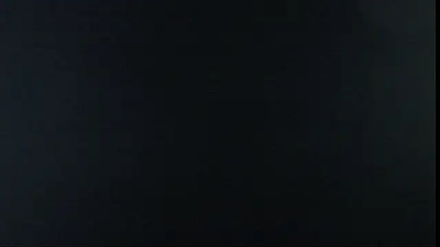 wise ava online show from March 25, 2026, 10:19 pm