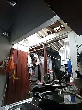 Snapshot of PatriciaGrajales chatting on March 15, 2026, 4:03 pm PatriciaGrajales online show from March 15, 2026, 4:03 pm