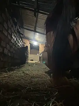 Ginny 2x online show from February 25, 2026, 2:06 pm