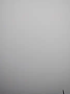 cdyyds-69 online show from March 11, 2026, 1:54 am