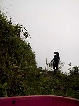 cdyyds-69 online show from March 24, 2026, 1:27 am