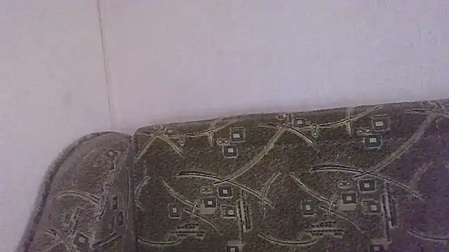 Norma Wall online show from July 2, 2026, 3:23 am
