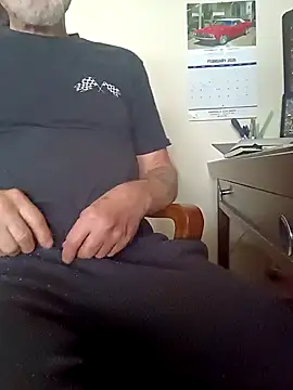 biswingcruiser online show from March 9, 2026, 5:38 pm