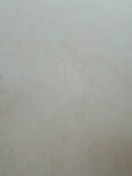 Lyly-68688 online show from July 30, 2026, 2:43 am