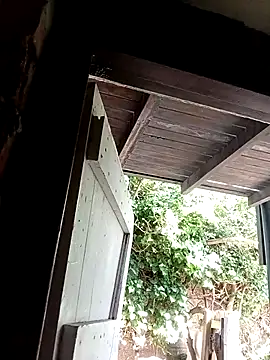 dicklife3485 online show from February 20, 2026, 8:27 am