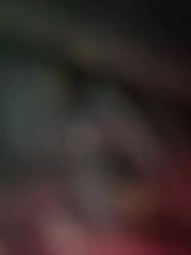 nmducnb online show from March 12, 2026, 8:40 am