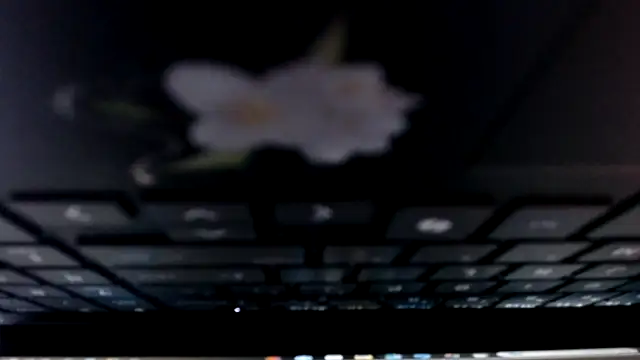 allymoon1369 online show from June 22, 2026, 3:25 am
