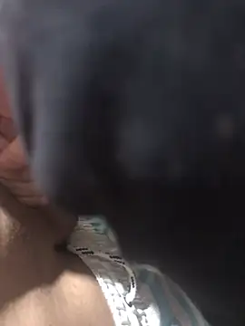 Snapshot of casalnovinho18z chatting on January 19, 2026, 4:33 pm casalnovinho18z online show from January 19, 2026, 4:33 pm