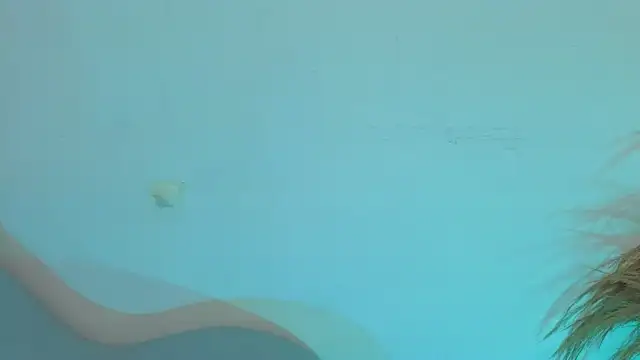 Snapshot of fransheskarossi chatting on June 26, 2026, 11:27 am fransheskarossi online show from June 26, 2026, 11:27 am