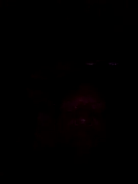 01Wetlips online show from June 15, 2026, 1:28 am