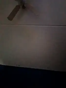 dewimp1 online show from February 1, 2026, 10:13 am