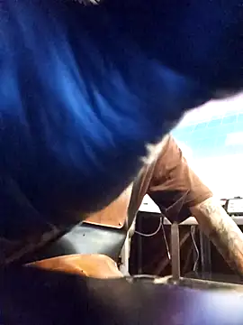 Snapshot of blackninja66 chatting on March 13, 2026, 2:27 am blackninja66 online show from March 13, 2026, 2:27 am