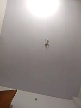 Snapshot of maisamim2 chatting on March 6, 2026, 3:01 am maisamim2 online show from March 6, 2026, 3:01 am