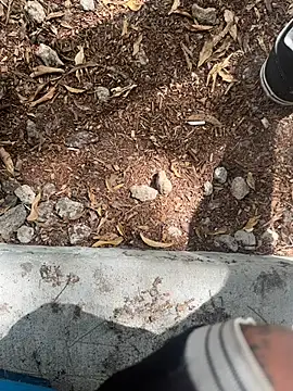 tyd247 online show from February 22, 2026, 11:28 pm