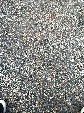 tyd247 online show from February 22, 2026, 6:27 am