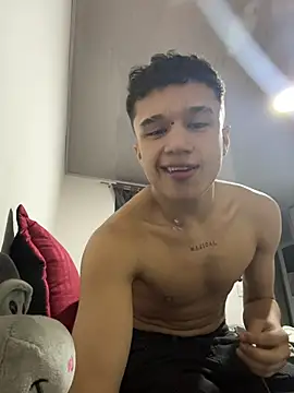 Snapshot of Dominik_Souza chatting on June 28, 2026, 1:45 am Dominik Souza online show from June 28, 2026, 1:45 am