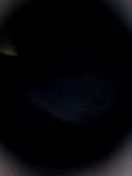 Bengal Tiger420 online show from February 24, 2026, 10:32 pm