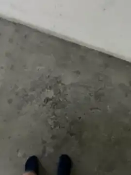 Wvpppp online show from February 24, 2026, 8:37 am