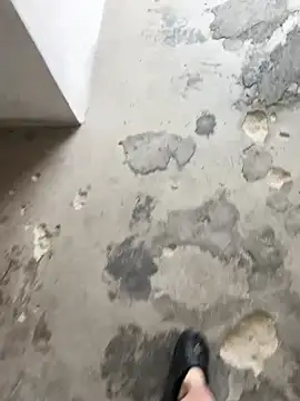 Wvpppp online show from March 29, 2026, 3:41 am