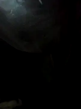 Snapshot of Hoa-haiduong chatting on February 20, 2026, 9:55 am Hoa-haiduong online show from February 20, 2026, 9:55 am