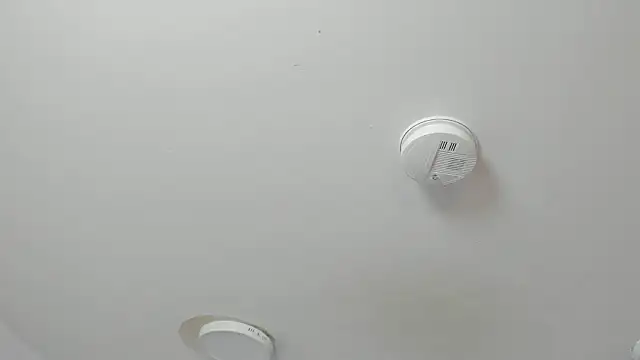 Maddie Rosee online show from March 14, 2026, 3:34 am