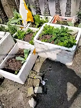 Queen-love45 online show from March 1, 2026, 3:39 am