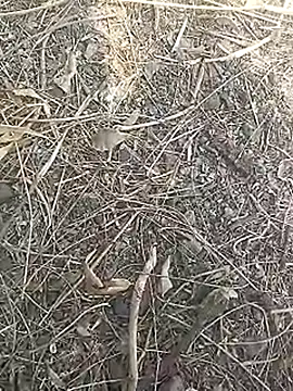 Cute Boy 4 online show from March 16, 2026, 7:45 am