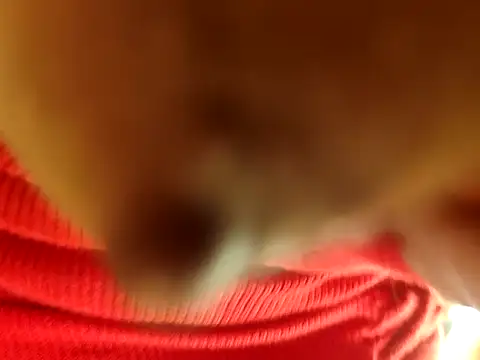 Snapshot of Brissperu18 chatting on February 12, 2026, 9:09 am Brissperu18 online show from February 12, 2026, 9:09 am