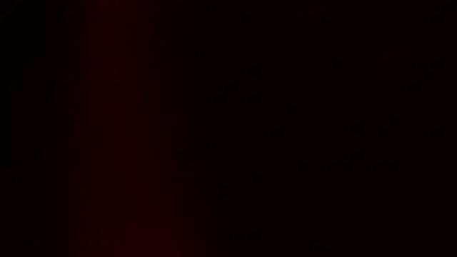 BambiRoses online show from July 1, 2026, 5:19 am