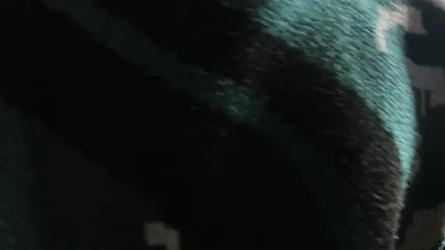 Snapshot of Christopher_Hunter chatting on March 22, 2026, 4:27 am Christopher Hunter online show from March 22, 2026, 4:27 am