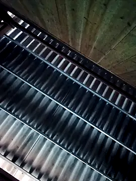 quynhbupbe11 online show from March 9, 2026, 7:34 am