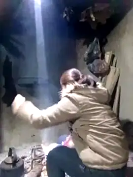 maimai1100 online show from February 3, 2026, 12:43 am